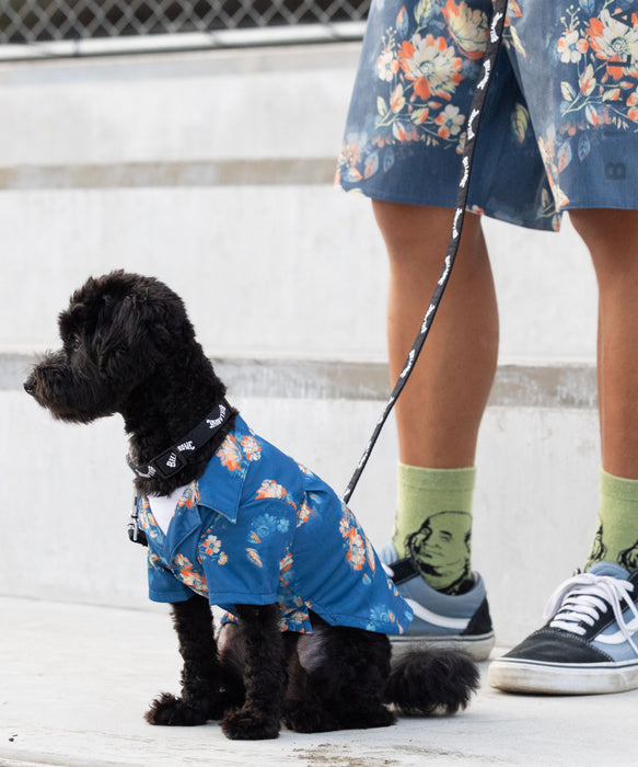 BILLABONG【DOG WEAR】 ALOHA DOG シャツ【2026年春夏モデル】