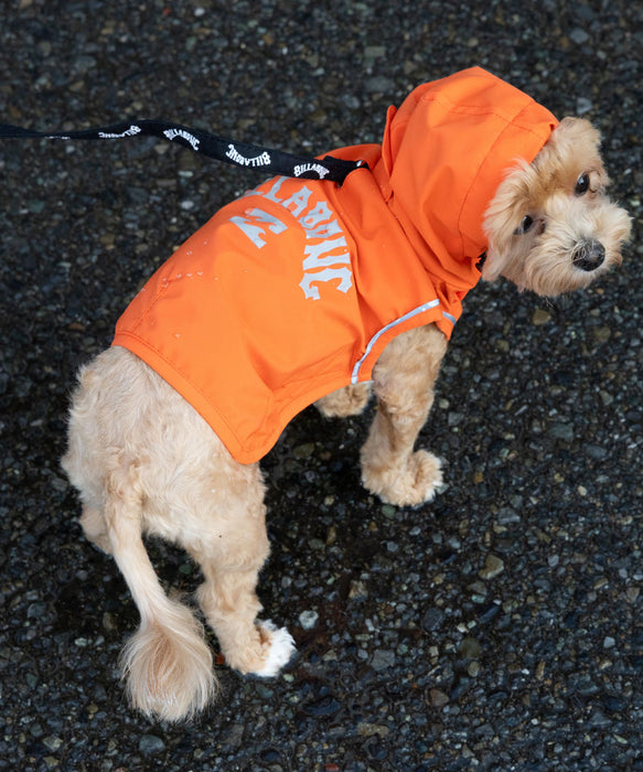 BILLABONG 【DOG WEAR】REFLECTIVE DOG レインコート 【2026年春夏モデル】