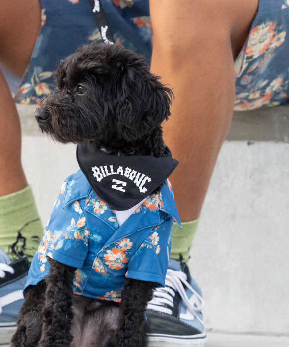 BILLABONG 【DOG WEAR】ARCH LOGO DOG COLLAR【2026年春夏モデル】