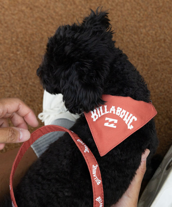 BILLABONG 【DOG WEAR】ARCH LOGO DOG COLLAR【2026年春夏モデル】