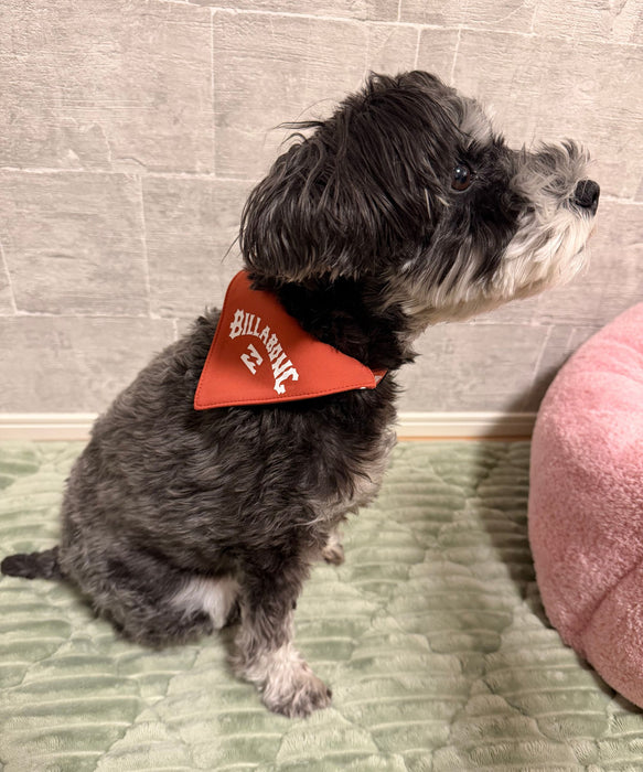 BILLABONG 【DOG WEAR】ARCH LOGO DOG COLLAR【2026年春夏モデル】