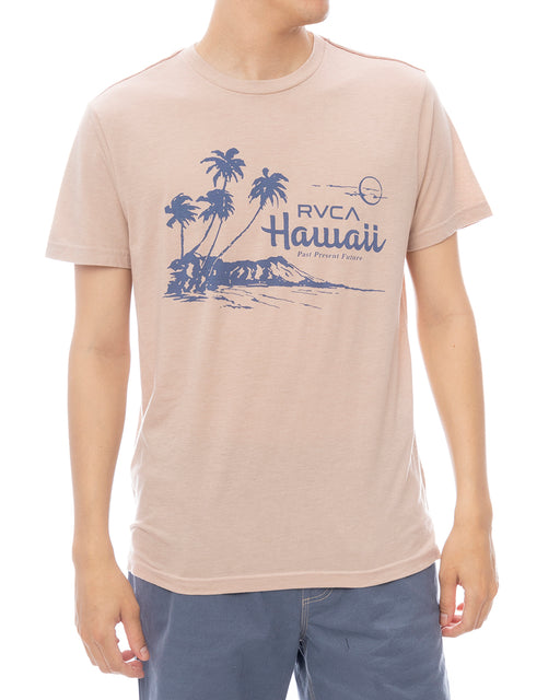 RVCA メンズ LUAU VISTA SS Tシャツ 【2025年春夏モデル】 PAL / XL