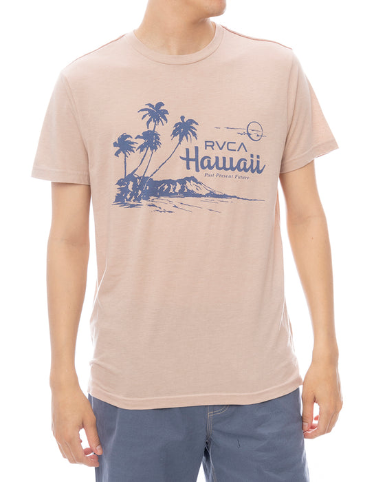 RVCA メンズ LUAU VISTA SS Tシャツ 【2025年春夏モデル】 PAL / XL