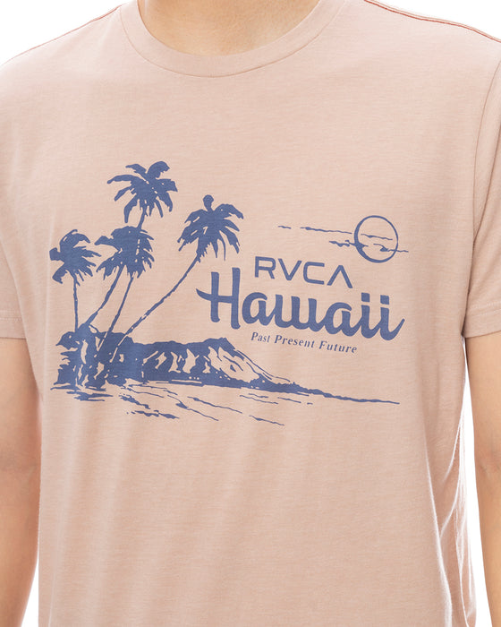 RVCA メンズ LUAU VISTA SS Tシャツ 【2025年春夏モデル】 PAL / XL