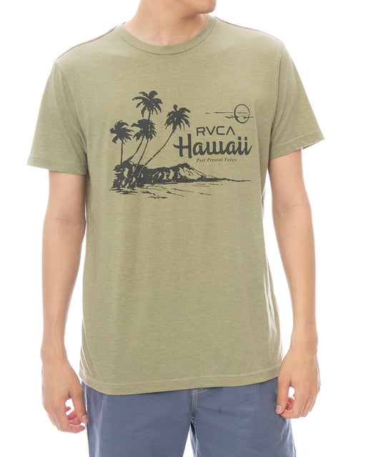 RVCA メンズ LUAU VISTA SS Tシャツ 【2025年春夏モデル】 RGR / XL