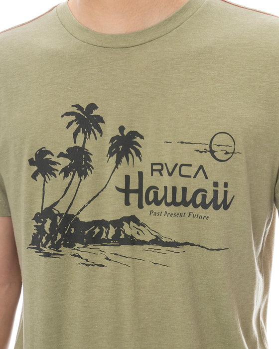 RVCA メンズ LUAU VISTA SS Tシャツ 【2025年春夏モデル】 RGR / XL