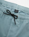 RVCA メンズ VA PIGMENT ELASTIC SHORT 16 ショートパンツ 【2025年春夏モデル】 LED / XL