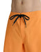 RVCA メンズ BACK TRUNK ボードショーツ 【2025年夏モデル】 BOR / 34