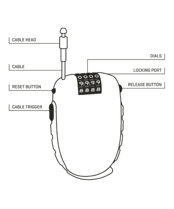 DAKINE COOL LOCK 【25-26SNOWモデル】