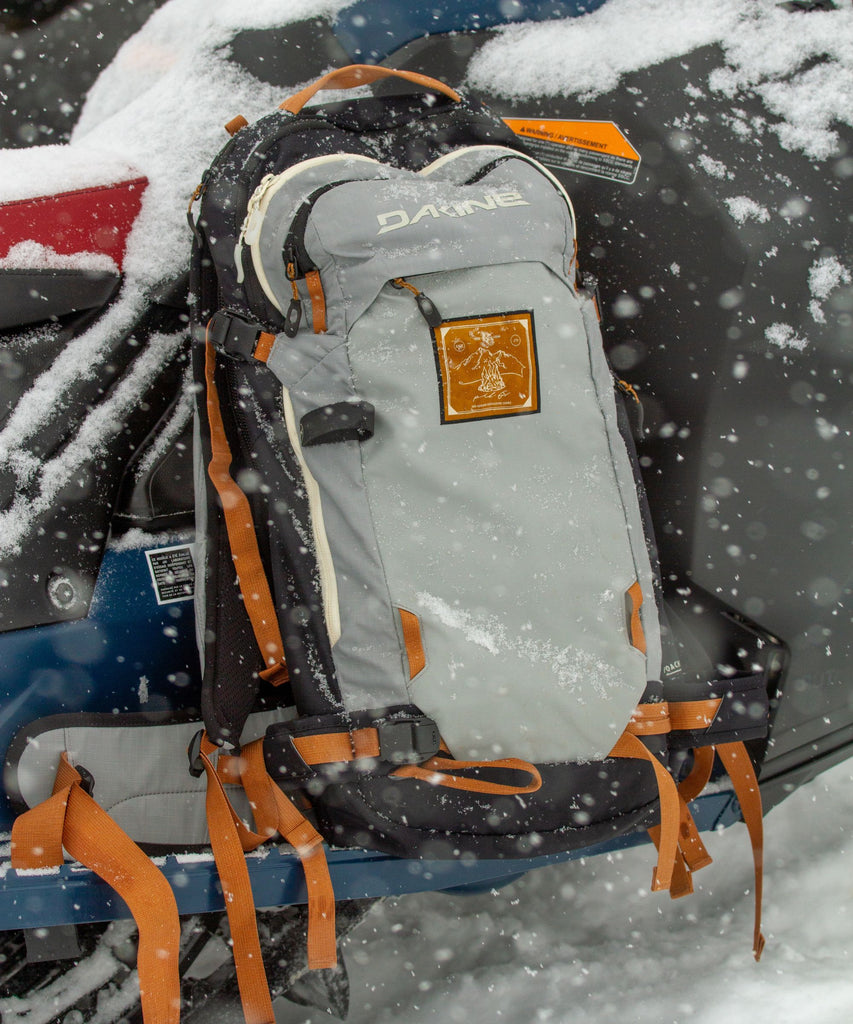 DAKINE TEAM POACHER BACKPACK 22L RED GERARD バックパック/リュック