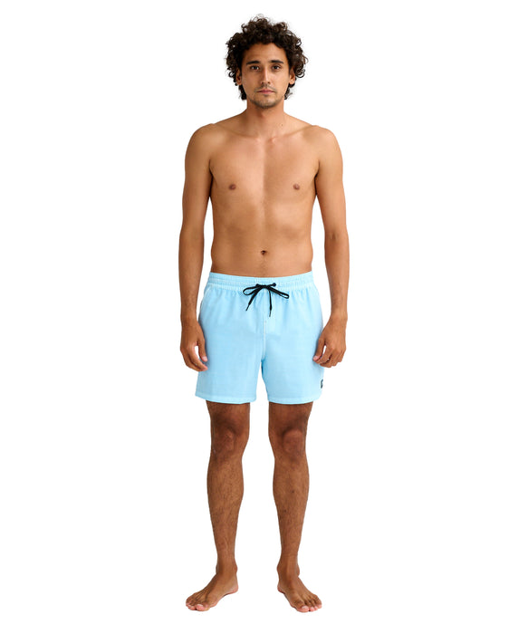 BILLABONG メンズ EVERY OTHER DAY WW L ボードショーツ 【2026年春夏モデル】 CBD / L