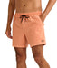 BILLABONG メンズ EVERY OTHER DAY WW L ボードショーツ 【2026年春夏モデル】 CTL / L