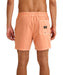 BILLABONG メンズ EVERY OTHER DAY WW L ボードショーツ 【2026年春夏モデル】 CTL / L