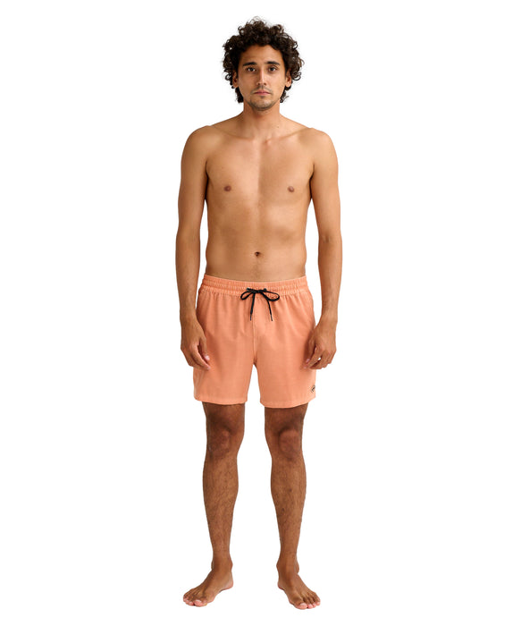 BILLABONG メンズ EVERY OTHER DAY WW L ボードショーツ 【2026年春夏モデル】 CTL / L