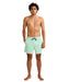 BILLABONG メンズ EVERY OTHER DAY WW L ボードショーツ 【2026年春夏モデル】 MIS1 / L