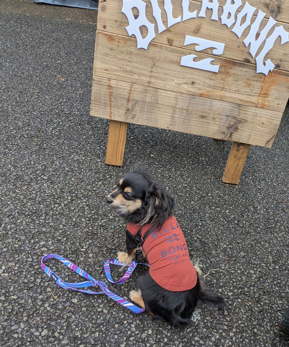 BILLABONG 【DOG WEAR】ONE TIME DOG タンクトップ【2026年春夏モデル】
