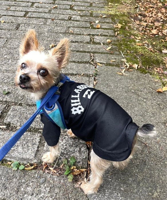 BILLABONG 【DOG WEAR】ANTI BUG DOG MESH 【虫よけ加工】Tシャツ【2026年春夏モデル】