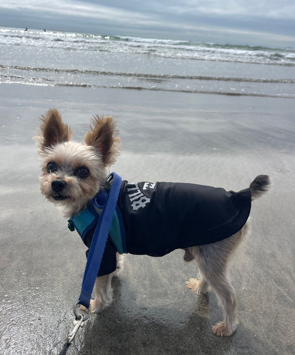 BILLABONG 【DOG WEAR】ANTI BUG DOG MESH 【虫よけ加工】Tシャツ【2026年春夏モデル】