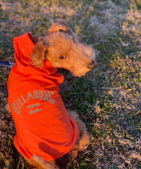 BILLABONG 【DOG WEAR】REFLECTIVE DOG レインコート 【2026年春夏モデル】