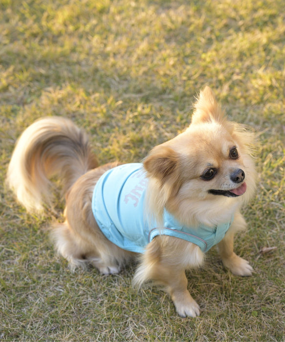 BILLABONG 【DOG WEAR】REFLECTIVE DOG レインコート 【2026年春夏モデル】