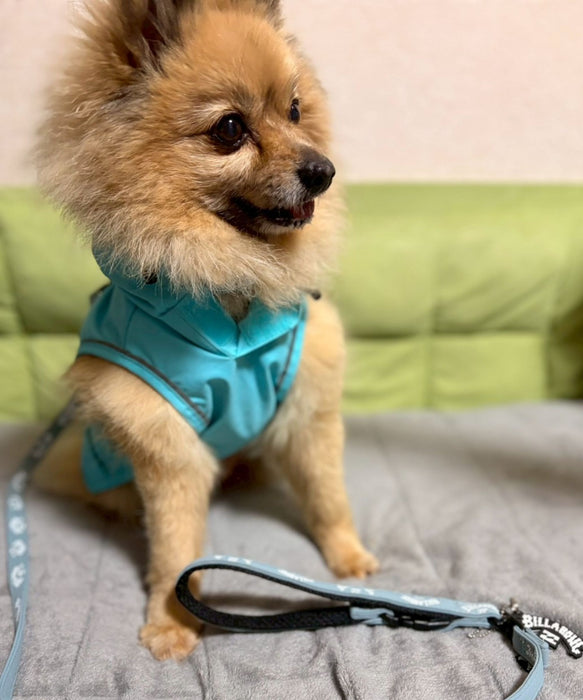 BILLABONG 【DOG WEAR】REFLECTIVE DOG レインコート 【2026年春夏モデル】