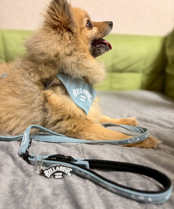 BILLABONG 【DOG WEAR】ARCH LOGO DOG リード【2026年春夏モデル】
