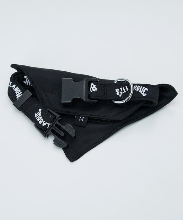 BILLABONG ウィメンズ ARCH LOGO DOG COLLAR その他アクセサリー 【2026年春夏モデル】 BLK / M