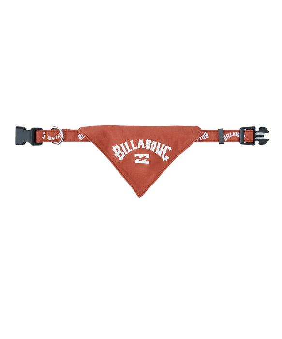 BILLABONG ウィメンズ ARCH LOGO DOG COLLAR その他アクセサリー 【2026年春夏モデル】 RED / M