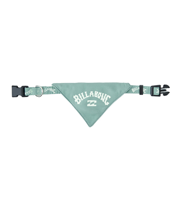 BILLABONG ウィメンズ ARCH LOGO DOG COLLAR その他アクセサリー 【2026年春夏モデル】 WBL / M