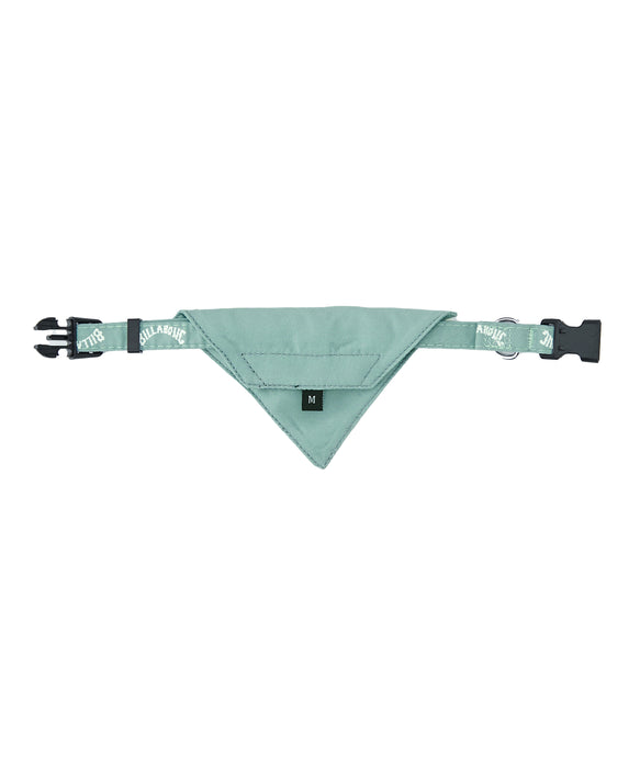 BILLABONG ウィメンズ ARCH LOGO DOG COLLAR その他アクセサリー 【2026年春夏モデル】 WBL / M