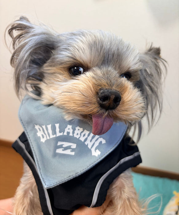 BILLABONG 【DOG WEAR】ARCH LOGO DOG COLLAR【2026年春夏モデル】