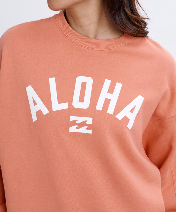 BILLABONG ウィメンズ MONO ALOHA KENDAL CREW  トレーナー 【2026年秋冬モデル】 TRC1 / M