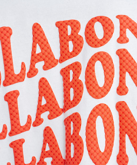 BILLABONG ウィメンズ WAVE LOGO CROPPED LS TEE ロンT 【2026年秋冬モデル】 OFW / L