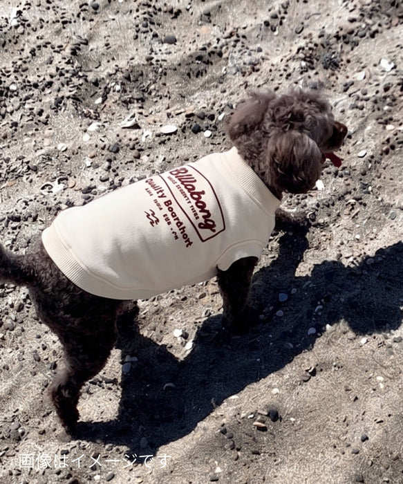 BILLABONG ROAD SIGN DOG SWEAT CREW【DOG WEAR】【2026年秋冬モデル】