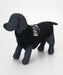 BILLABONG ウィメンズ FUWAFUWA DOG SWEATER その他アクセサリー 【2026年秋冬モデル】 BLK / 3L