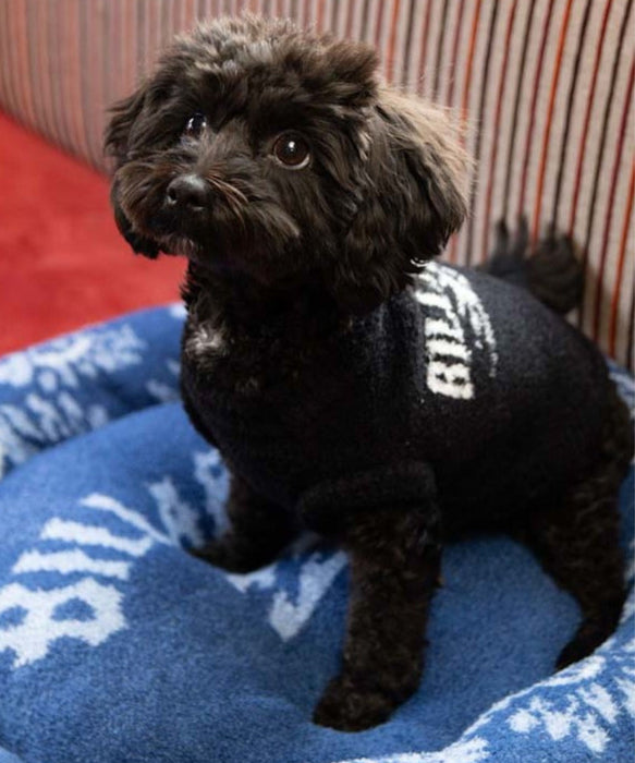 BILLABONG FUWAFUWA DOG SWEATER【DOG WEAR】【2026年秋冬モデル】