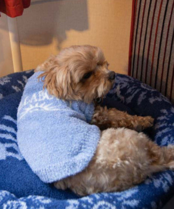 BILLABONG FUWAFUWA DOG SWEATER【DOG WEAR】【2026年秋冬モデル】
