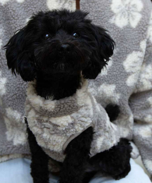 BILLABONG DOG BOA VEST【DOG WEAR】【2026年秋冬モデル】