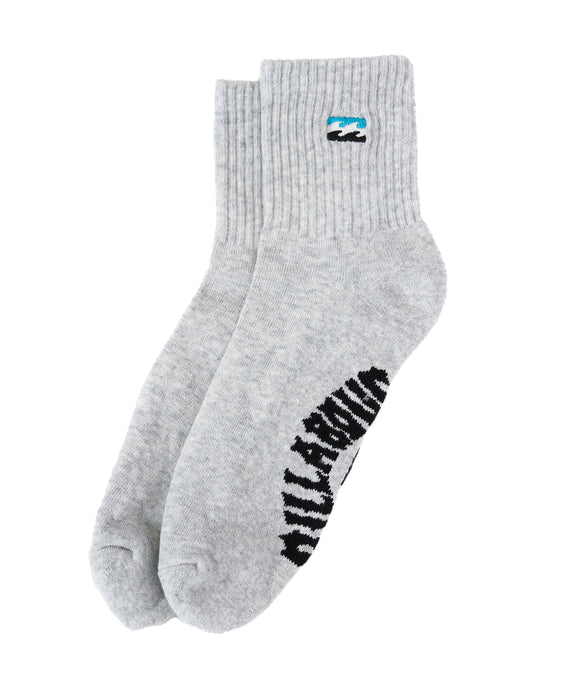 BILLABONG メンズ LOGO SOCKS ソックス 【2026年夏モデル】 GRH / F