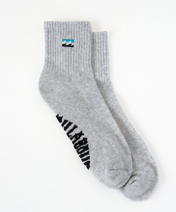 BILLABONG メンズ LOGO SOCKS ソックス 【2026年夏モデル】 GRH / F