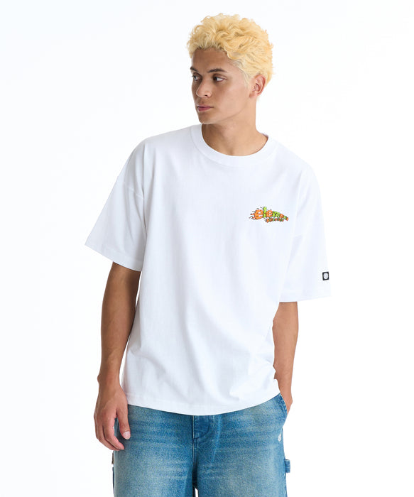 ELEMENT メンズ HIROTTON  SS Tシャツ 【2026年夏モデル】 WHT / XL