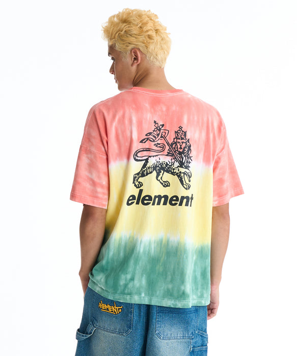 ELEMENT メンズ RASTA GRADE SS Tシャツ 【2026年夏モデル】 RST / XL