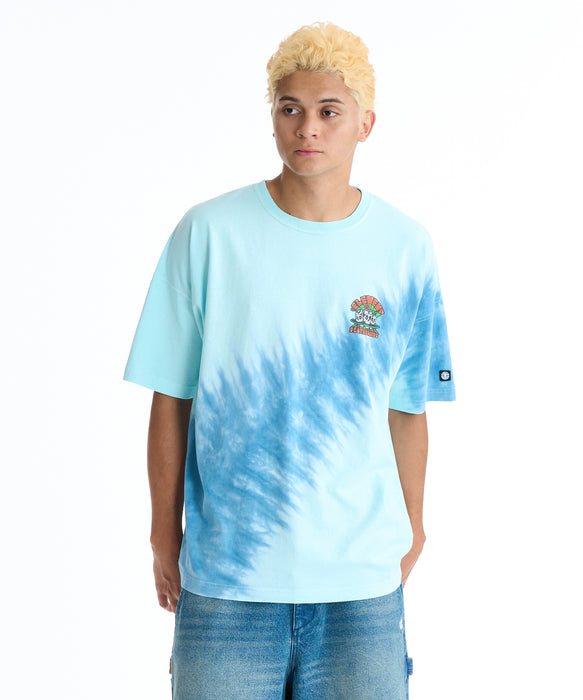 ELEMENT メンズ TIMBER 3 2ND SS Tシャツ 【2026年夏モデル】