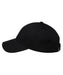 ELEMENT メンズ ICON DAD CAP TWILL キャップ 【2026年秋冬モデル】 FBK / F