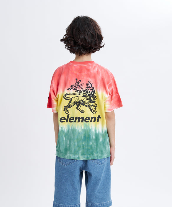 ELEMENT キッズ RASTA GRADE SS Y Tシャツ 【2026年夏モデル】 RST / XL/155-165
