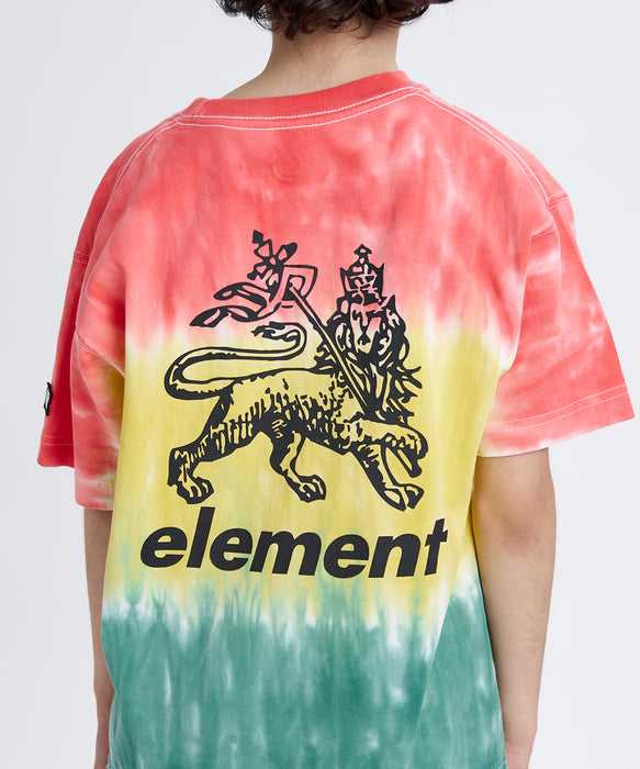 ELEMENT キッズ RASTA GRADE SS Y Tシャツ 【2026年夏モデル】 RST / XL/155-165