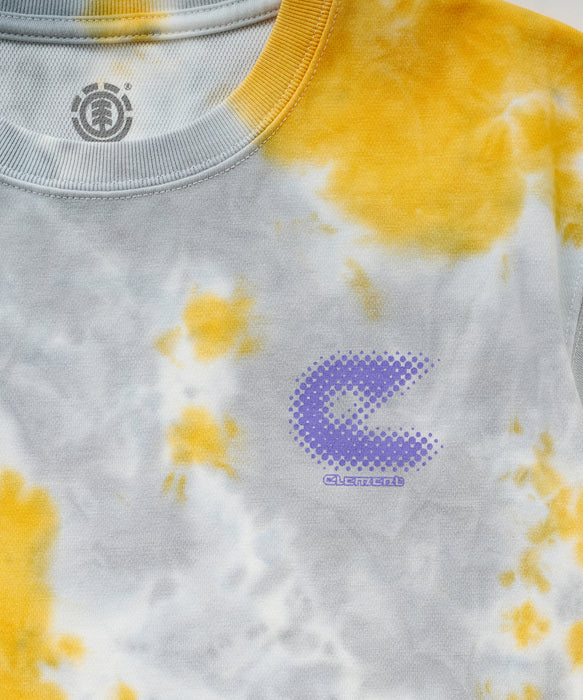 ELEMENT キッズ WORLD WIDE SS Y Tシャツ 【2026年夏モデル】