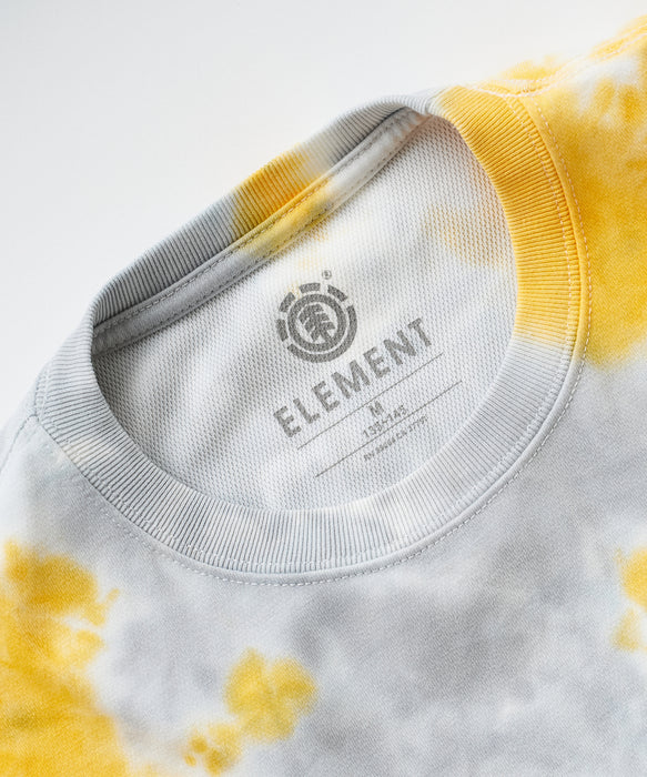 ELEMENT キッズ WORLD WIDE SS Y Tシャツ 【2026年夏モデル】
