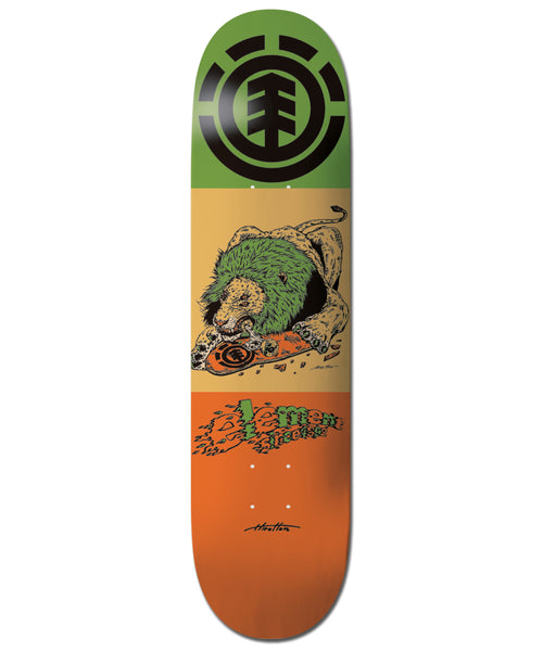 HARLEY-DAVIDSON スケートボードデッキ ELEMENT スケートボード 《8 inch》HIROTTON LION デッキ 【2026年春夏