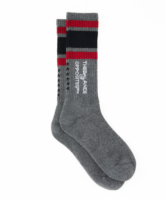 RVCA メンズ BALANCE SOX ソックス 【2026年秋冬モデル】 GRY / F